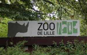 Sortie annuelle  ZOO de Lille 