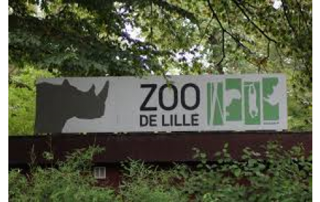Sortie annuelle  ZOO de Lille 